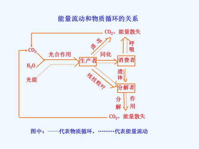 能量流动的关系