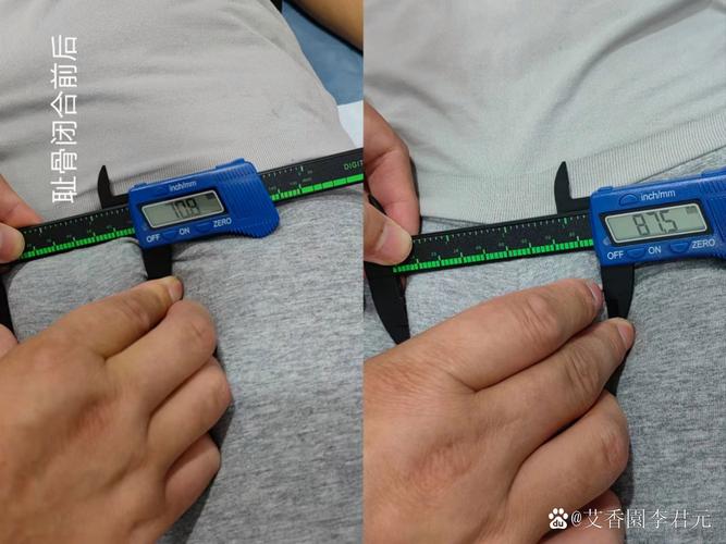 sps软件应用管道长度