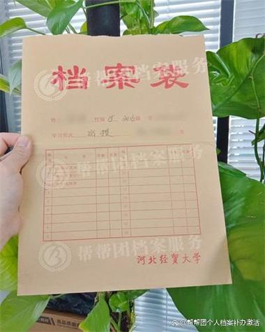 档案有错误谁负责承担