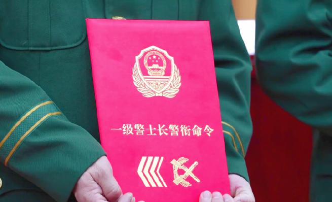 部队命令范文截图