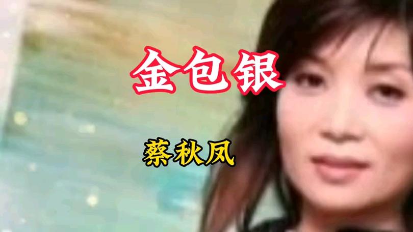 金包银闽南语翻译中文