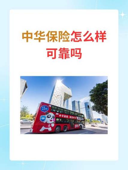 中华保险保单查询入口图标