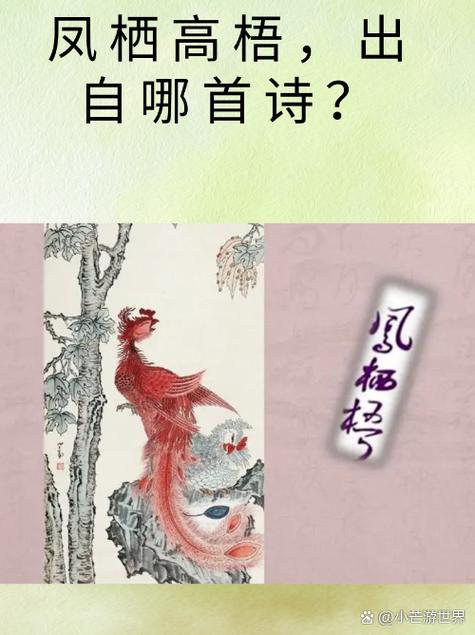 凤凰一般比喻什么女人