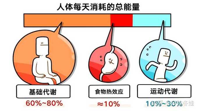 睡觉消耗能量更大游戏截图