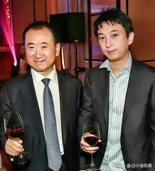 王健林的子孙是谁图标