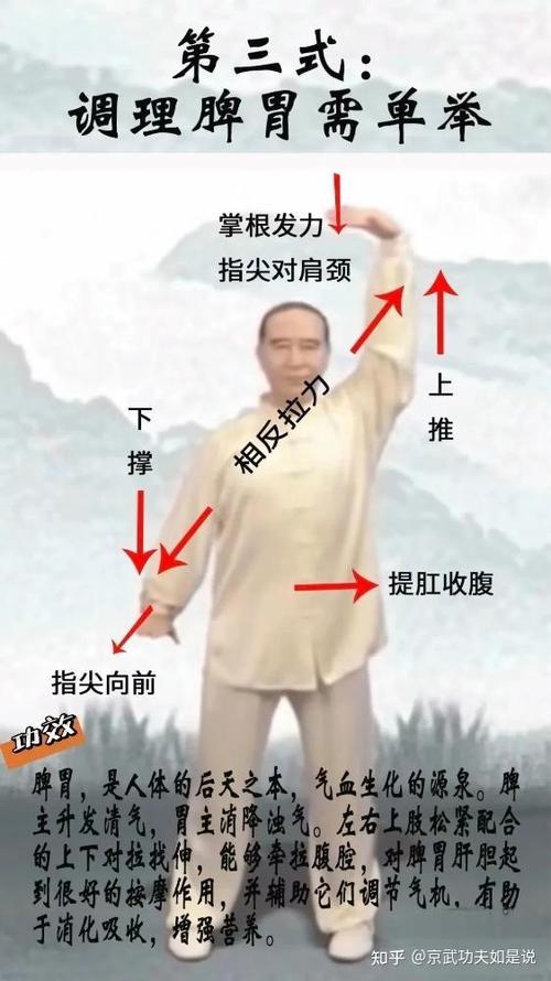 八段锦分解动作
