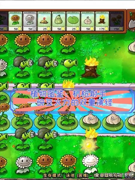 植物大战僵尸网页版全屏截图