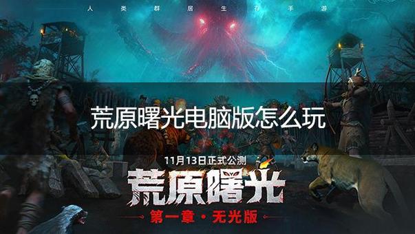 荒原曙光账号只能用电话号码注册吗