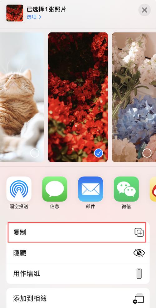 苹果照片编辑缩略图