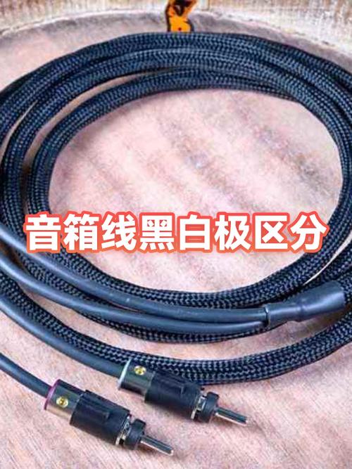 黑白音箱线正负极颜色