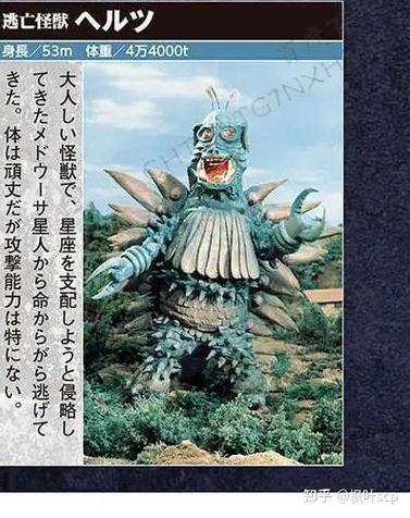 黑尔兹