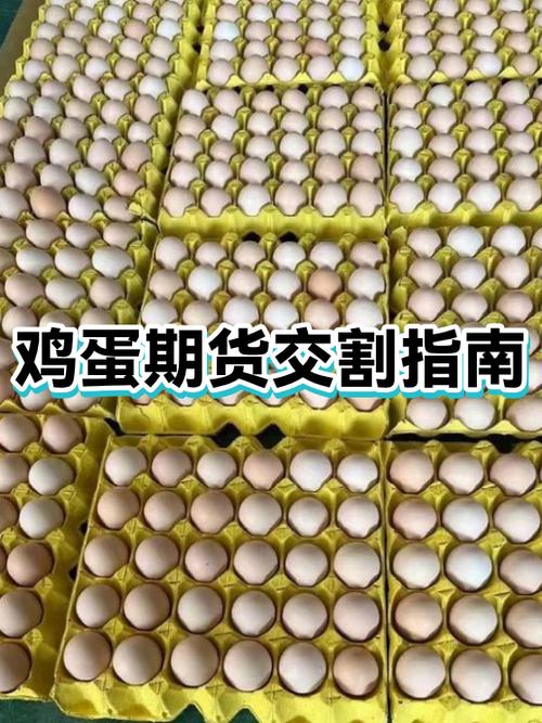 鸡蛋交割成本计算图标