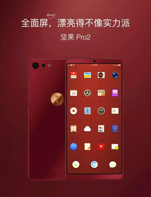 坚果pro刷第三方系统图标