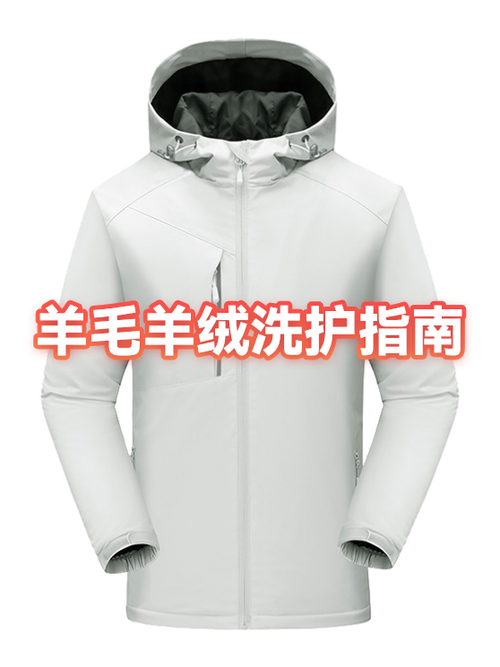 在家洗羊毛最简单方法图标