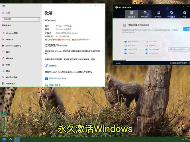 小马激活工具激活不了