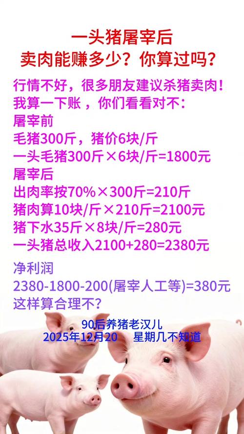 一头猪利润大概多少