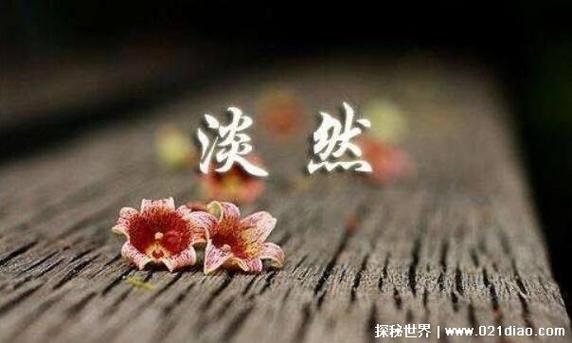 把人性看淡的经典句子缩略图