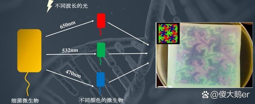 打游戏怎么提高反应速度