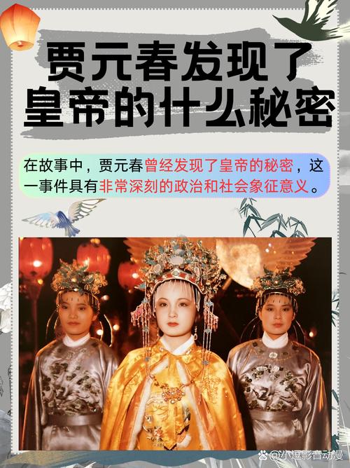 贾府被哪个皇上灭了截图