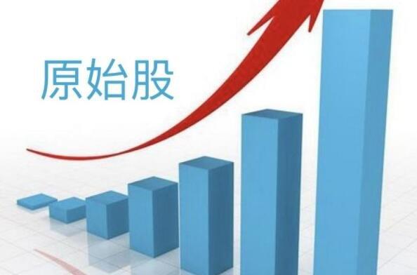 公司原始股值得买吗