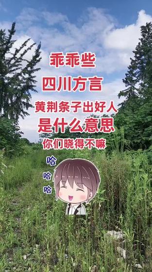 四川骂人方言语音
