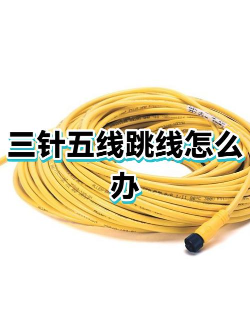 跳线是什么意思