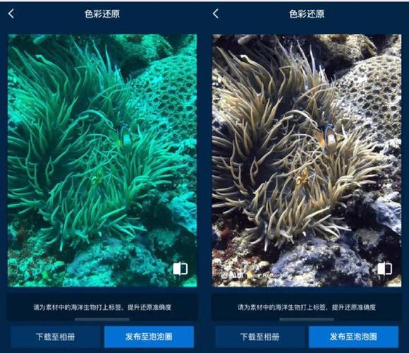oppo手机变灰色怎么调回
