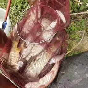 钓友之家