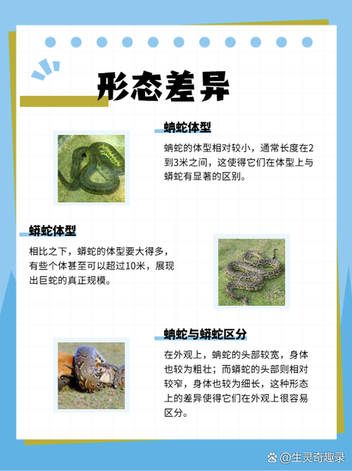 蟒蛇下载安卓