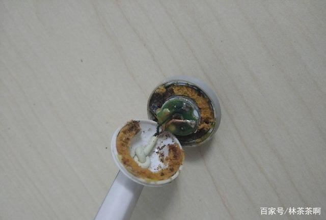 蓝牙耳机孔被耳屎堵了