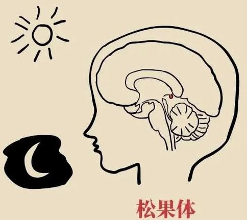 电话手表的睡眠模式是什么意思