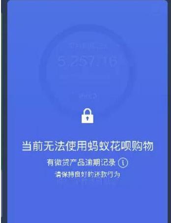 花呗怎么关闭客服界面截图