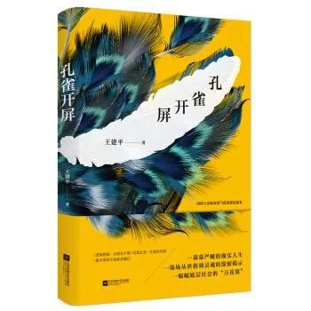 孔雀 小说