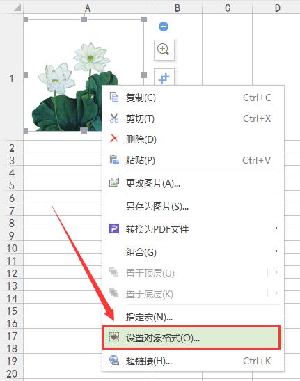 将图片嵌入单元格