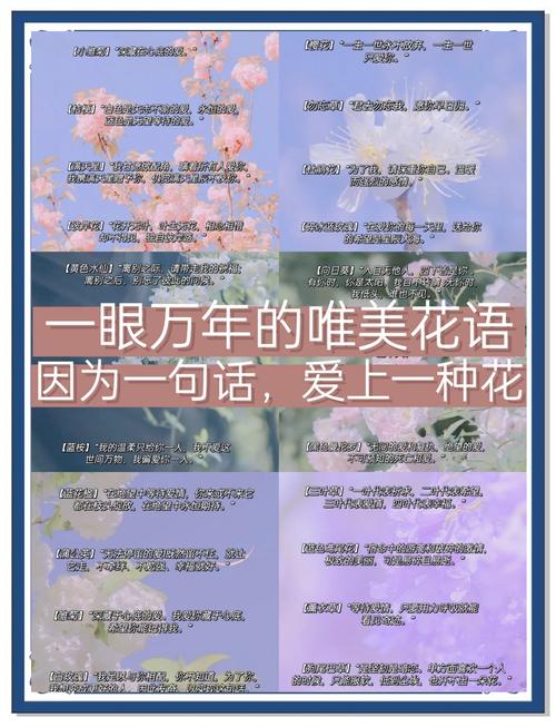 花体字留言图片
