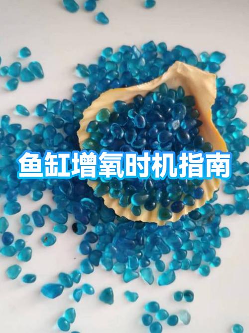 鱼缸增氧泵的正确使用方法