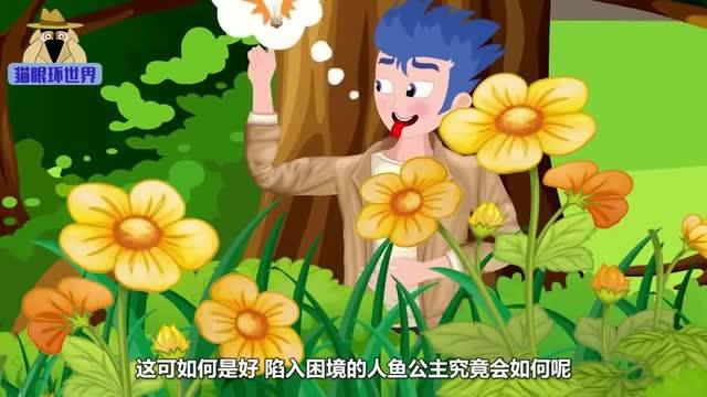 美人鱼被黑衣人抓走了
