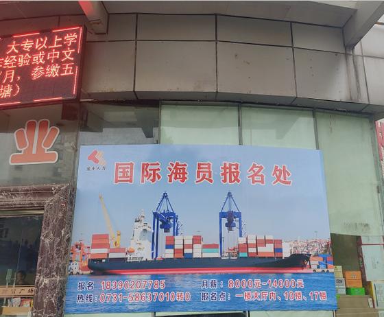 海员联盟招聘网