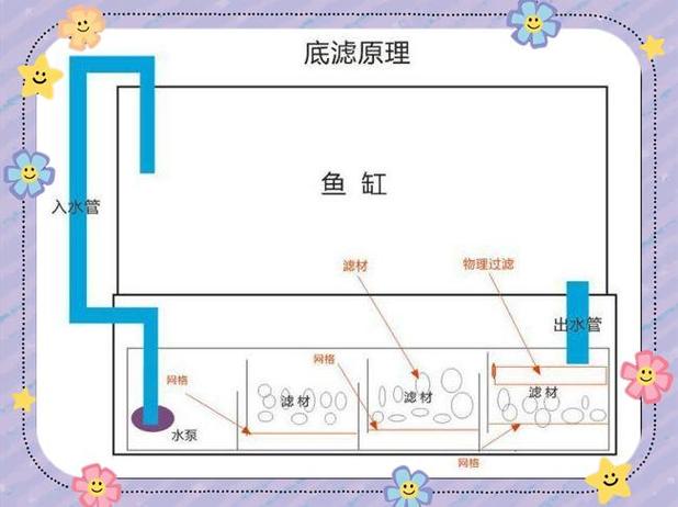 上滤鱼缸的最佳过滤方法游戏截图