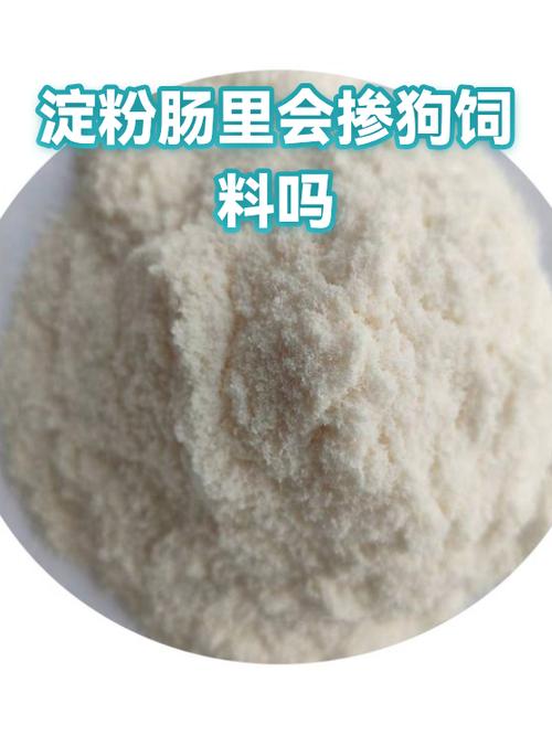 狗吃淀粉肠可以吗