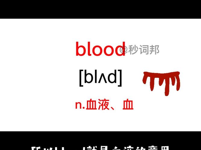 blooder读音