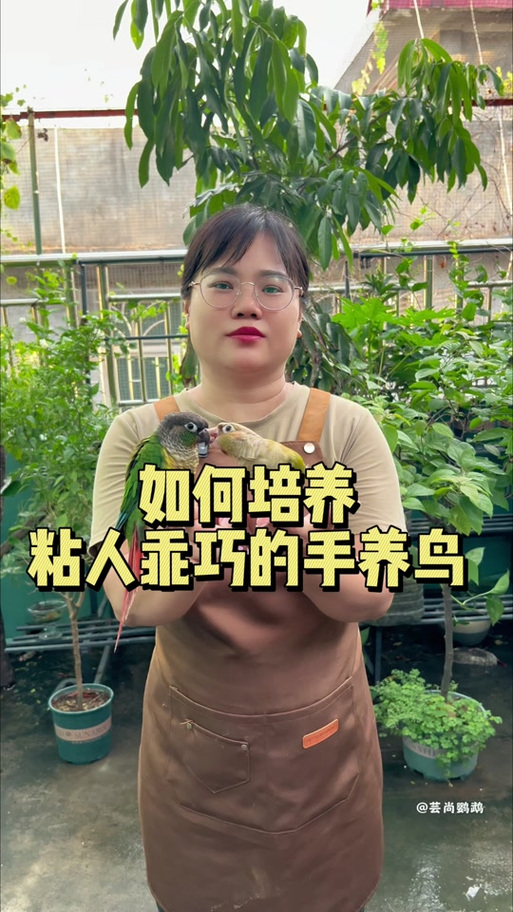 新旧买的鹦鹉怎么培养感情
