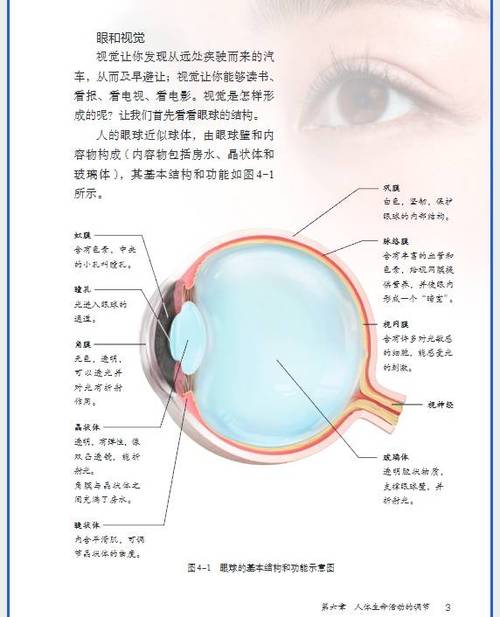 八年级上册生物电子书缩略图