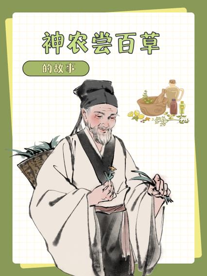 神农百草神效装价格