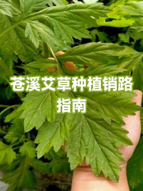 1年多了用艾滋病试纸准吗