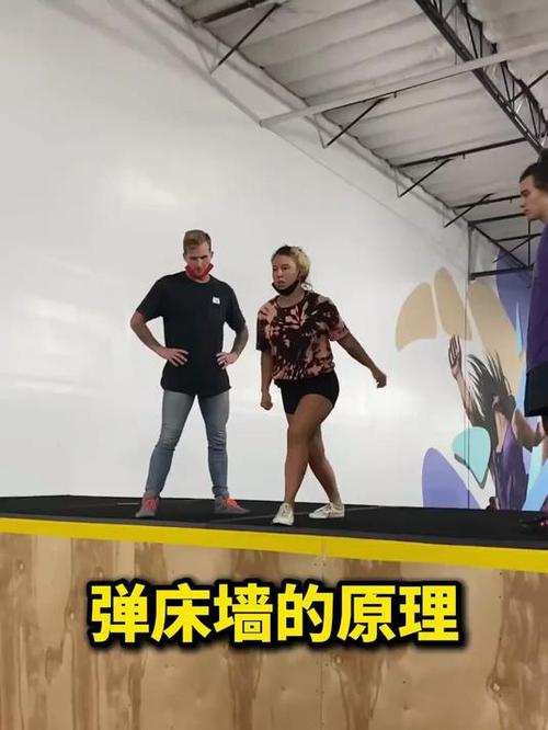 收弹墙
