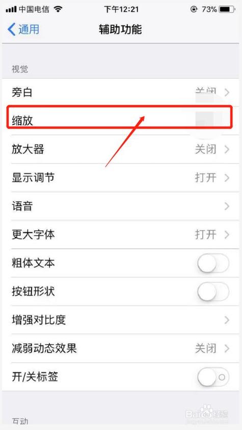 苹果手机放大了缩不回去怎么办