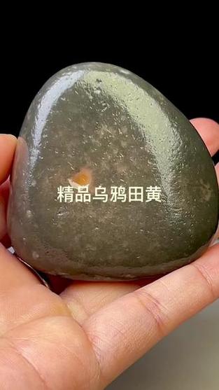 价值过亿的乌鸦皮田黄石