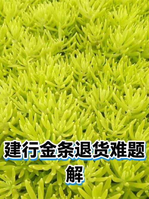 闲鱼卖家要求退货可以不退吗图标