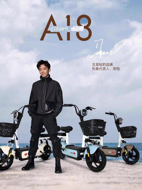 五星战报郑恺电动车